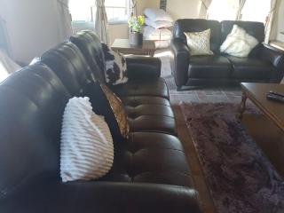 Dauin-unique home away from the hustle and bustle. - 7