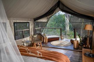 Paperbark Camp - Woollamia - 2