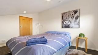 Shamrock 3 - Mount Hotham - 3