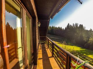 Apartments Jasa - Mozirje - 9