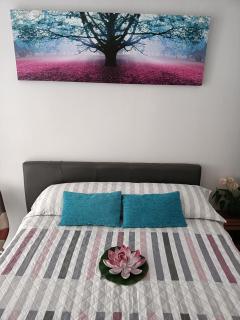 ESTUDIO EMMA - Torrevieja - 0