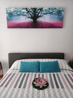ESTUDIO EMMA - Torrevieja - 3