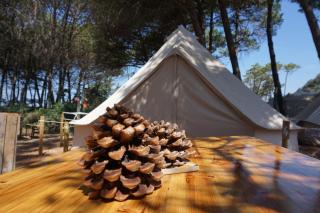 Pigna Felice Punta Ala - 7