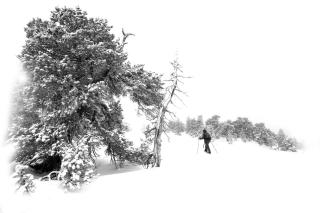 atipic lodge - Arette - 6