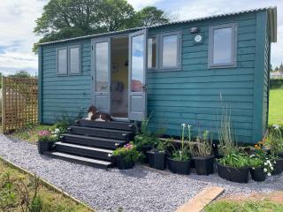 Shepherds Hut with Hot Tub North Wales Anglesey - Llanfairpwllgwyngyll - 8