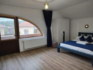 DANIA&PETRU RESIDENCE - Tîrgu Ocna - 6