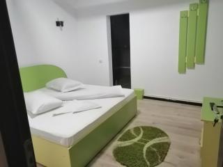 Pensiunea Denisa - Săcăluşeşti - 5