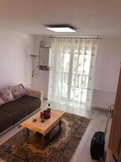 Cazare în Bușteni - apartament 3 camere - Buşteni - 7