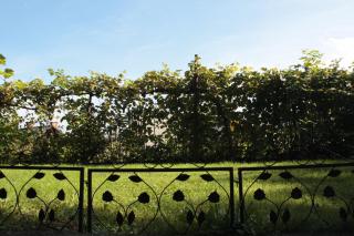 Garden Apartments Maria - 1