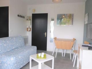 Appartement avec piscine et parking à 650m de la plage, Bretignolles-sur-Mer - FR-1-224A-45 - 9