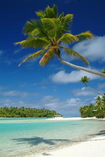 Moana Villa Aitutaki - Arutanga - 2