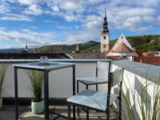 Terrassen Appartement über den Dächern von Krems - Krems an der Donau - 6