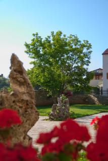 Apartments Vili - Umag - 1