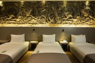 The Erzurum Hotel - Erzurum - 4