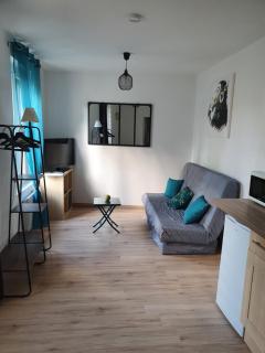 Studio coccoon proche beauval - 5