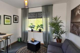 Have a nice stay! - Studio tussen de bossen en de bollenvelden - 2