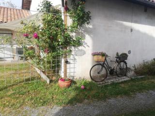 La Forge - Sore - 7