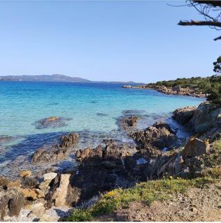Coralli 8 - Residence Sole Ruju - Olbia - 7