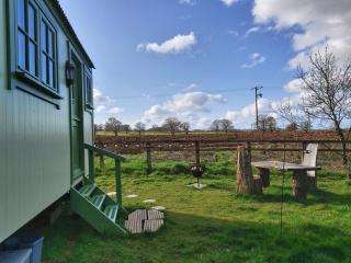 The Old Mill Shepherds Hut - 5