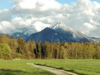 Adersberger Annemarie - Ferienwohnung - 4