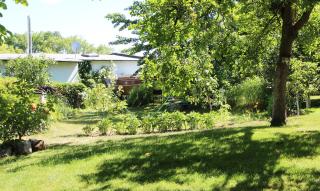Ferienwohnung Gartenblick - Kröpelin - 9