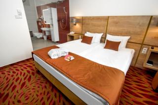 Rubin Wellness & Conference Hotel - Budapest - 9