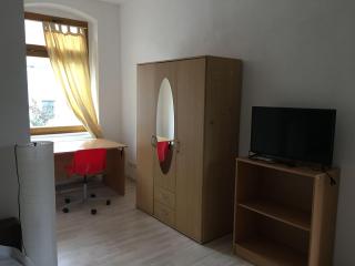 Wohnen-in-der-Uni-Silber-und-Welterbestadt-Freiberg-Whg-4 - Freiberg - 7