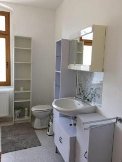 Wohnen-in-der-Uni-Silber-und-Welterbestadt-Freiberg-Whg-4 - Freiberg - 6