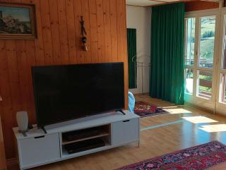 Haus Viols 46 - Savognin - 3