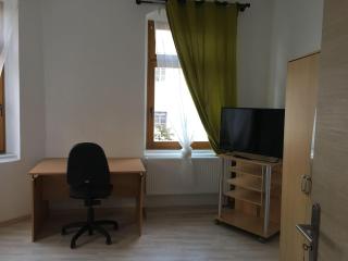 Wohnen-in-der-Uni-Silber-und-Welterbestadt-Freiberg-Whg-3 - Freiberg - 4