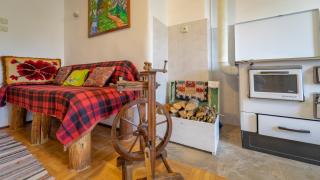 Kuća za odmor Feniks 3 - Ravna Gora - 6