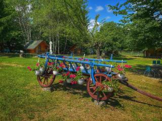 Camping Dragoske - Ciofrîngeni - 7