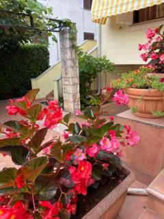 Apartments Maris - 1