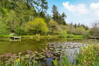 Romantic, secluded cottage in Cardinham Woods, Cornwall - Cardinham - 2