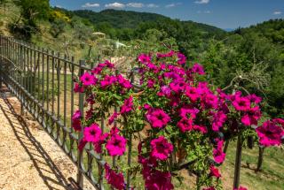 Podere Figlinelle - Starda - 6
