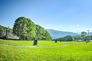 Wintergreen Resort Studio with Deck and Ski-Out Access - 9