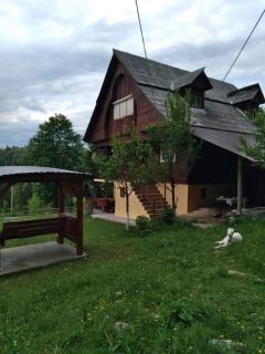 Casa din Poiană - Hănăşeşti - 5