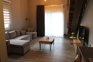 Vot villas - Ormos Panagias - 6