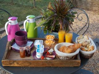 Camping du Petit Gué du Roi - Cléry-Saint-André - 4