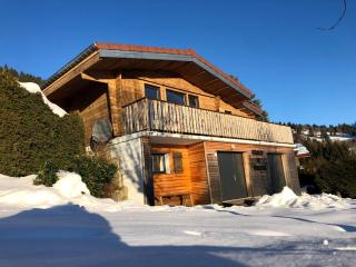 Chalet Le Vintage avec bain nordique privatif - La Bresse - 7