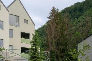 Brașov Citadel View Apartment - Braşov - 7