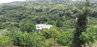Casa verde ver - 8