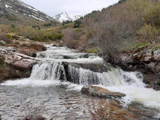La Lobera - Las Rozas de Valdearroyo - 3