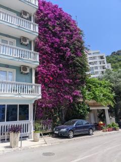 Apartmani Dubravka - 0
