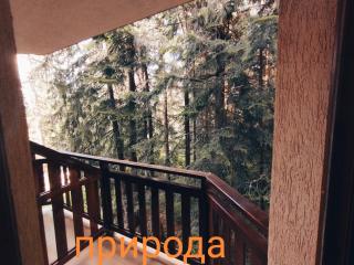 Borovets Villa Park studio - 1