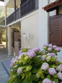 Maria Apartments - Skala Potamias - 8