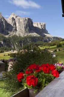 Pensione Haus Erica - 4