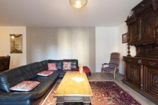 LE RHENANUS Jacques Taurellus - appartement duplex au calme - centre ville - parking gratuit - 8