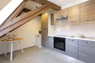 LE RHENANUS Jean Geiler de Kaysersberg - appartement idéal pour famille, au calme - centre ville - parking gratuit - Sélestat - 2