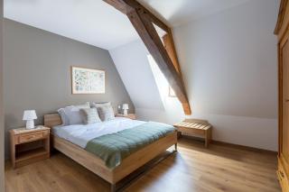 LE RHENANUS Hans Sapidus - appartement spacieux, au calme - parking gratuit - Sélestat - 2